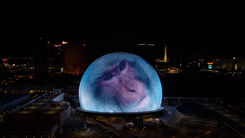 the las vegas sphere