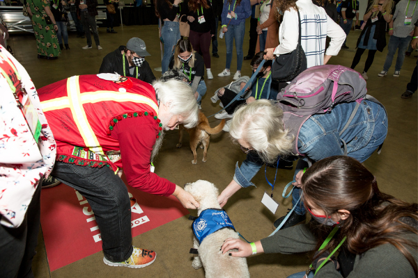 People petting therapy dogs during the opening of Stage Expo